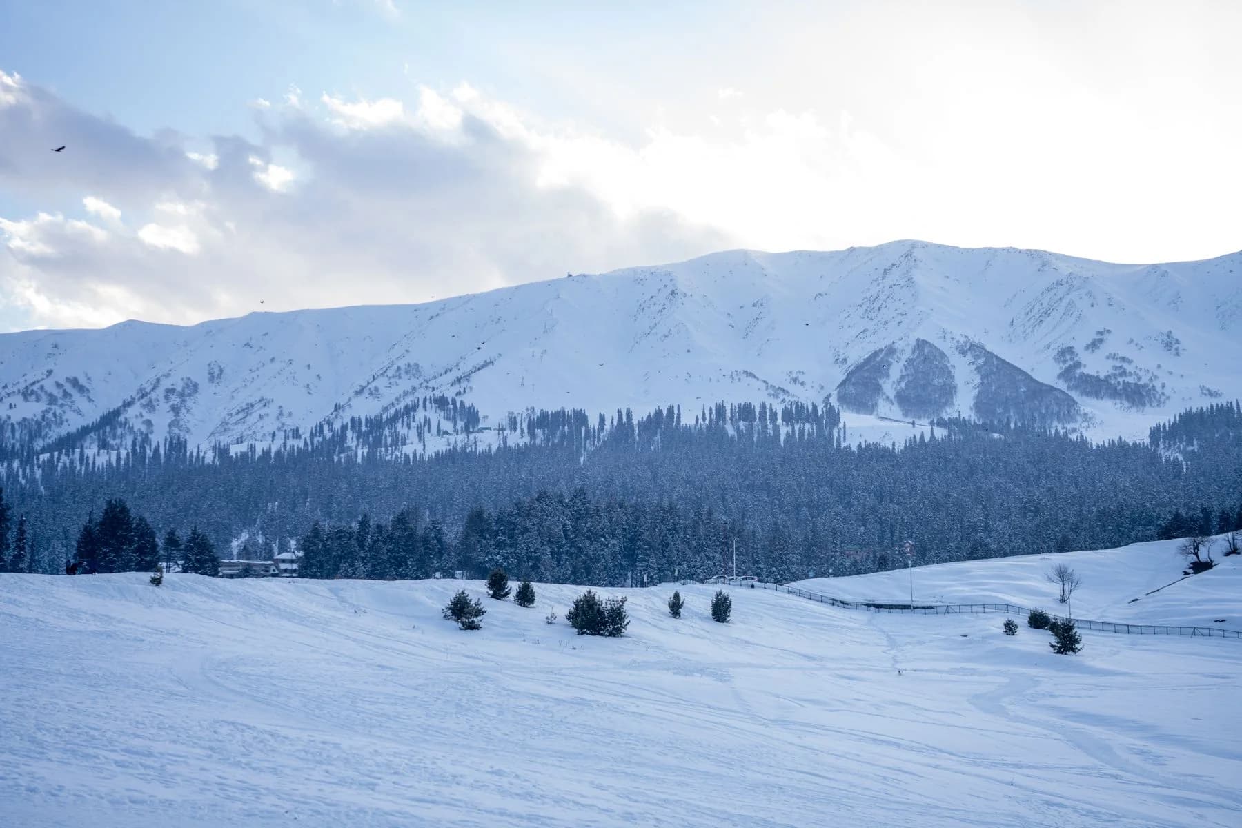 Snow-covered meadows, pine trees and mountains in Gulmarg