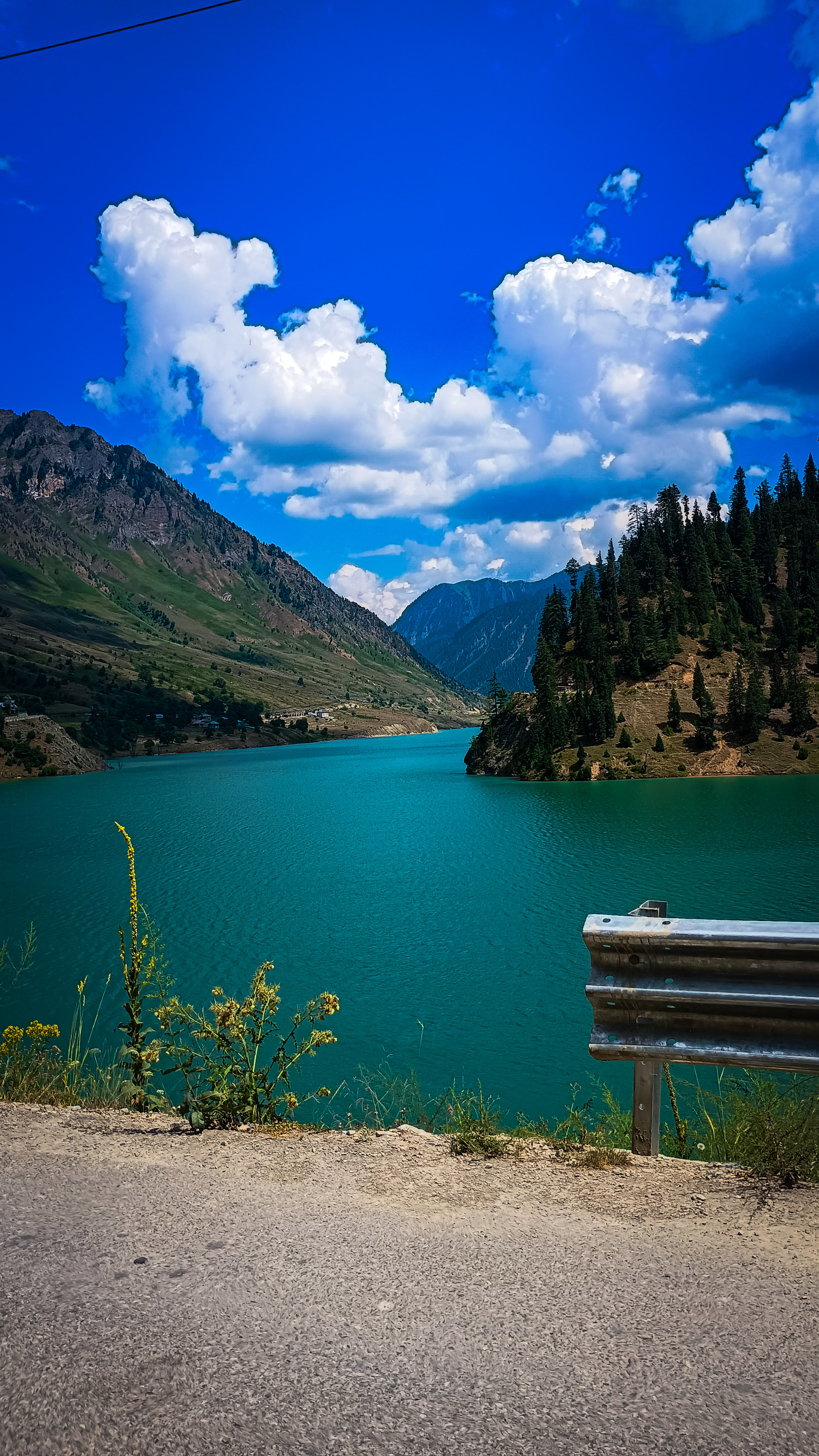 Turquoise water beneath forested mountains in Gurez Valley